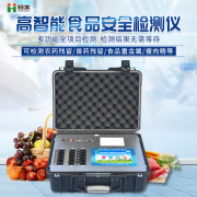 多功能食品快速硬汉视频app推广仪器有哪些